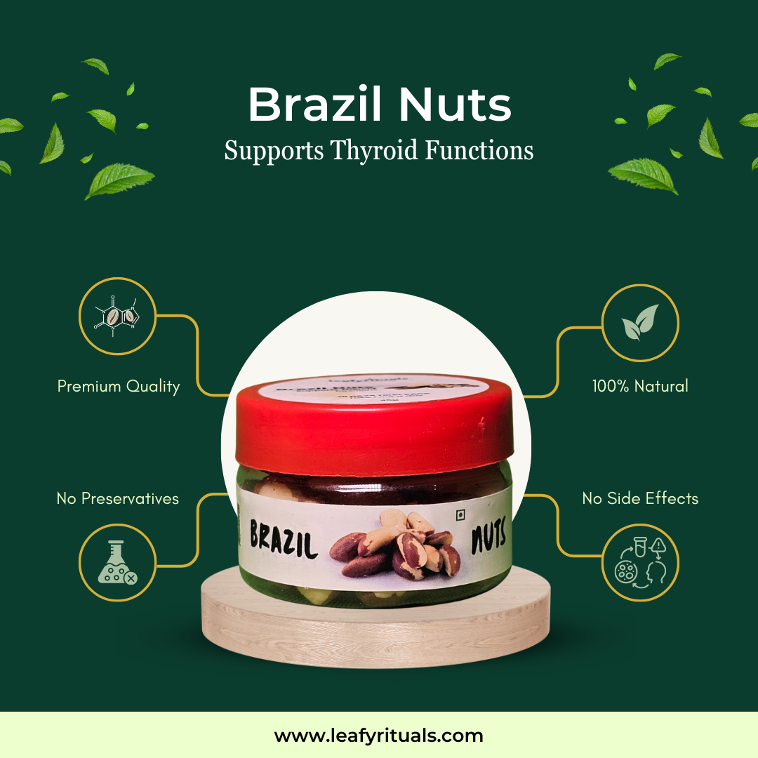brazil nuts brazil nuts